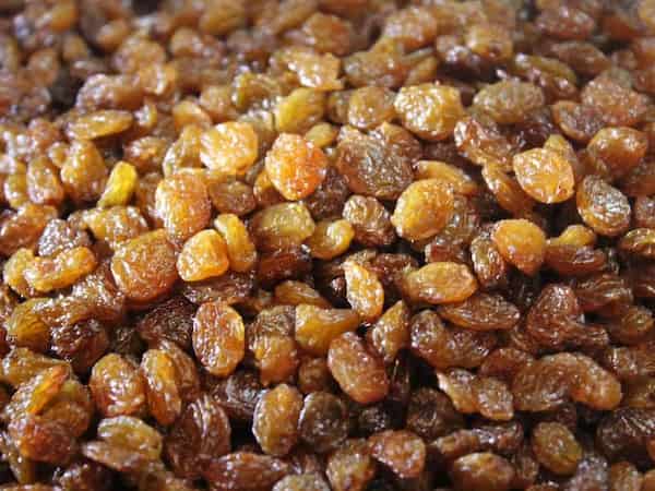 قیمت کشمش آفتابی عمده با کیفیت بالا